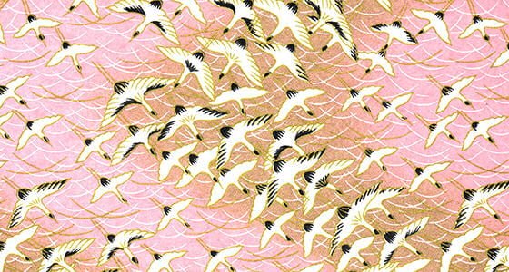 White and black cranes on pink background
