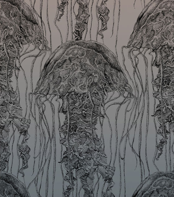 840710896_orig
