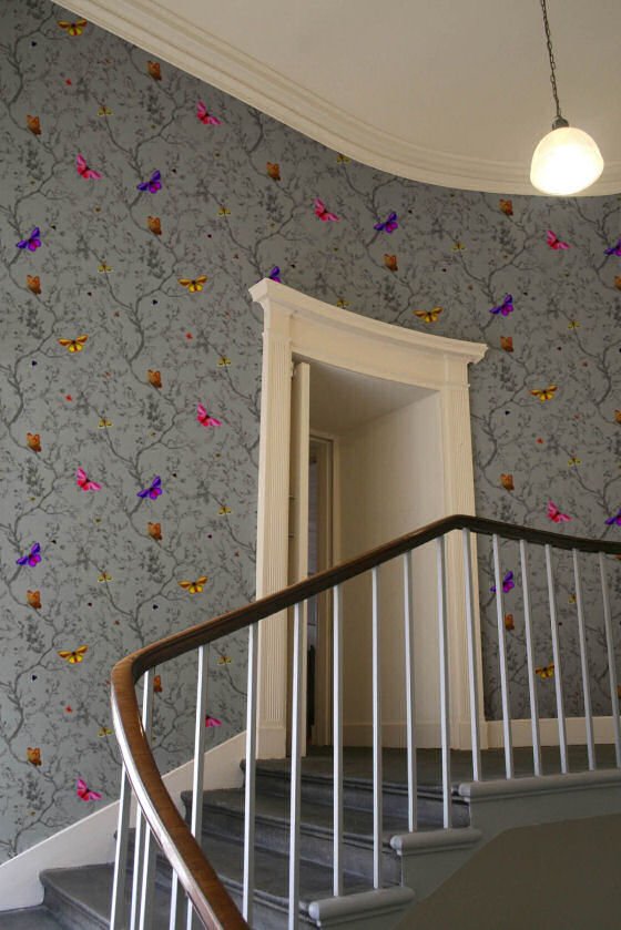 Butterflies wallpaper in Grey Top of staircase and landing with grey wallpwer with pink, yellow and purple birds