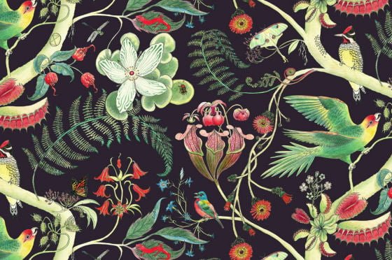 Newton Paisley wallpaper Newton Paisley wallpaper