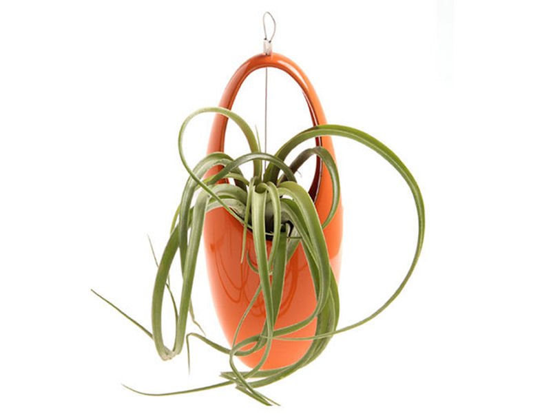 Colourful hanging plant container by Chive