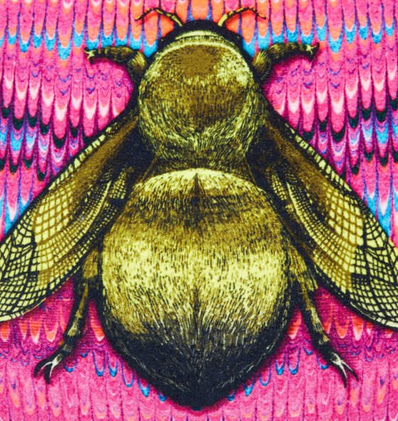 Close up of gold bee on pink marbled background