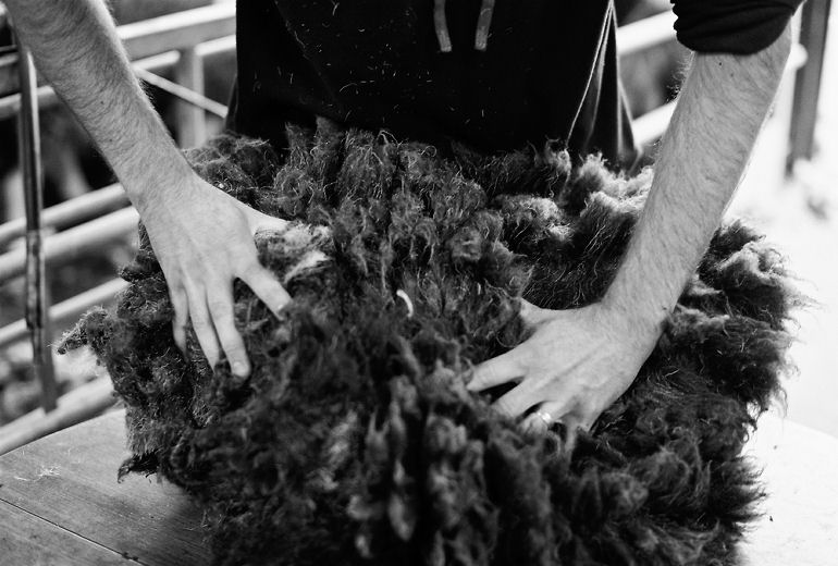Solidwool image of Herdwick sheep fleece