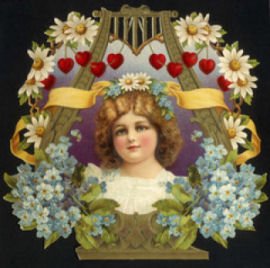Forget me not card
