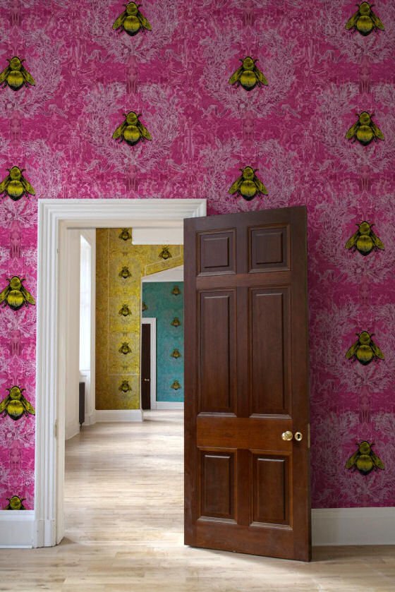 Imperial Apiary Multi View through open doorways of walls with different coloure wallpapers by Timorous Beasties