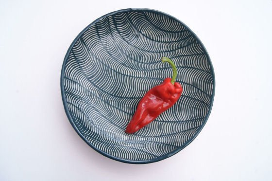 Blue and white ceramics with red chiili pepper by Judit Esztergomi