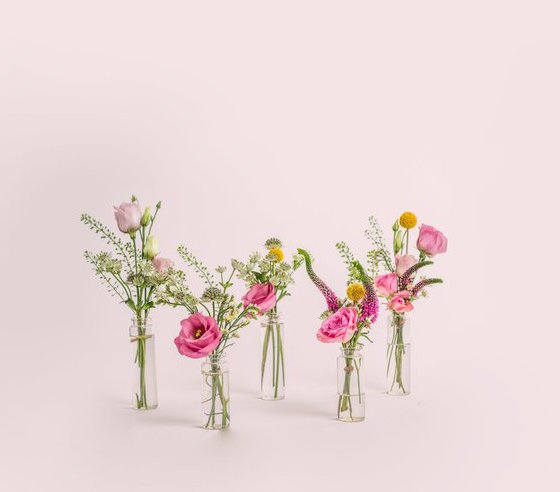 POSIES FROM BLOOM & WILD