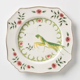 Vintage china plate with praying mantis and floral motifs