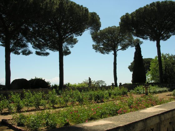 ROSE GARDEN