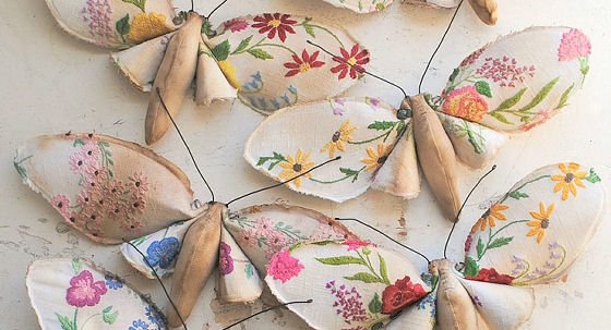 Slide-SVDG-Mister-finch-buterfu