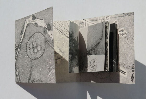 Field and Hedgerow artists book
