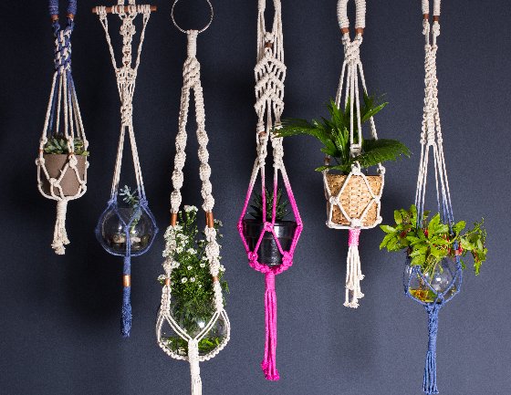 Multicoloured contemporary plant hangers against dark wall