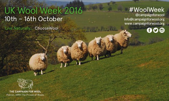 UK Wool Week banner with sheep in field