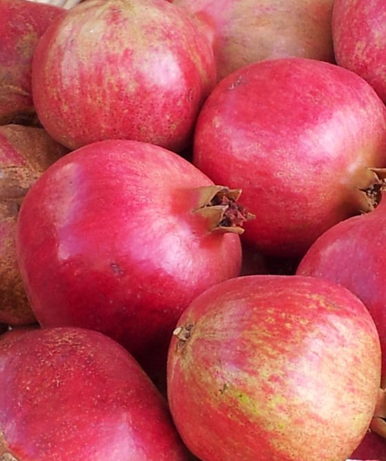 deep red/pink pomegranates