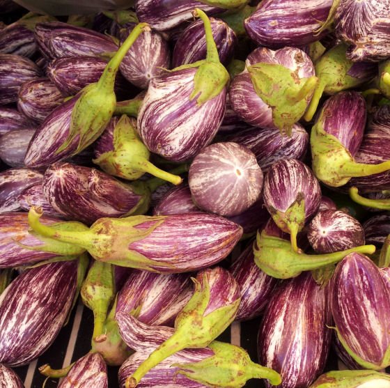 striped aubergines at  Kas Market